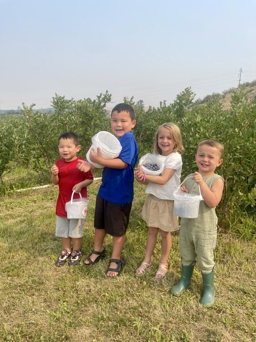 Children organic bb picking