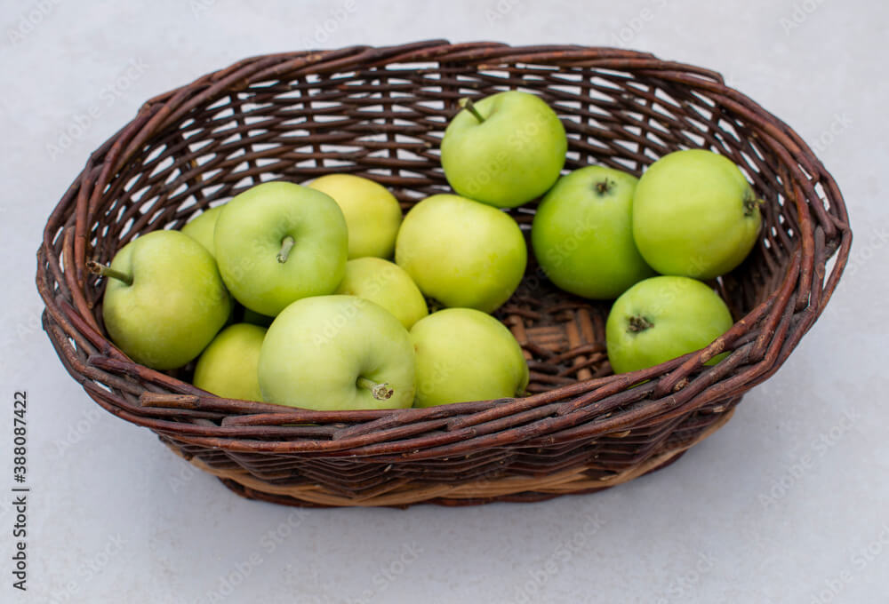 Exploring the Diverse World of Apple Varieties: Classics