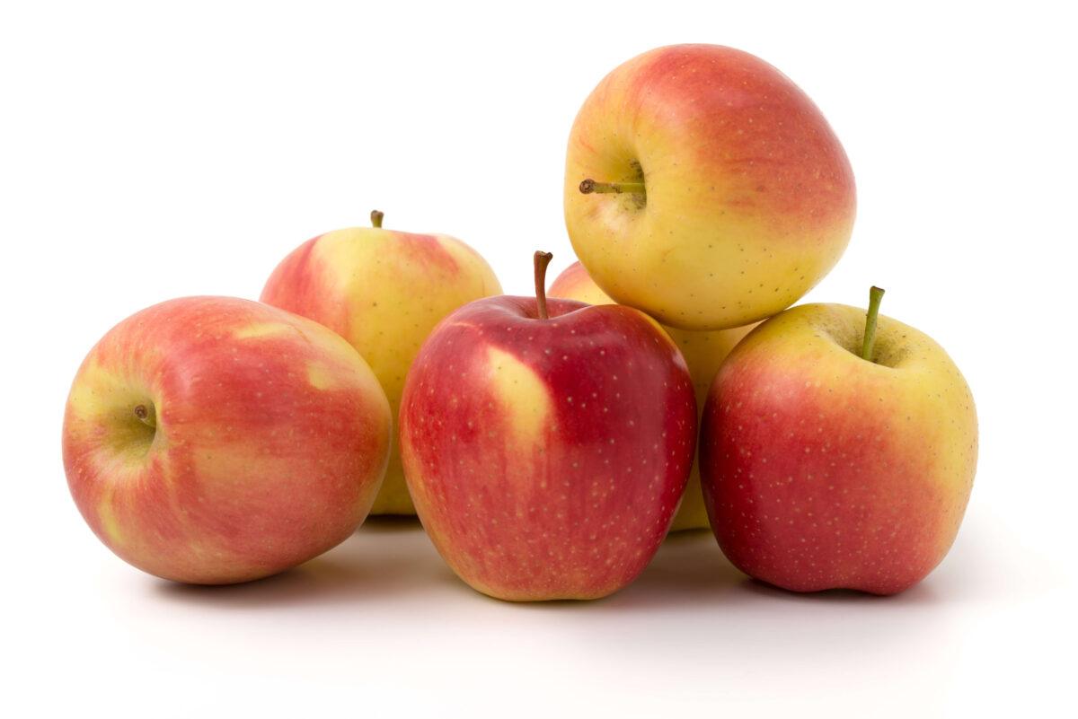 Exploring the Diverse World of Apple Varieties: Classics