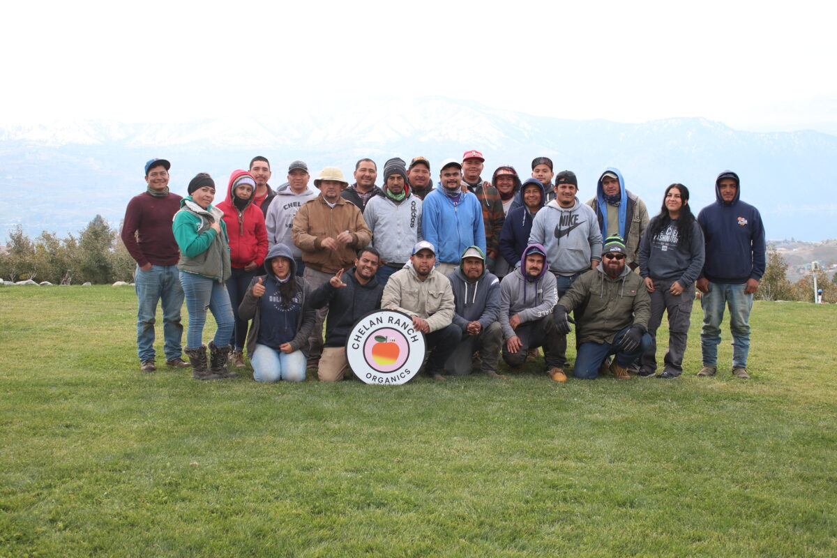 Chelan Ranch Labor Crew