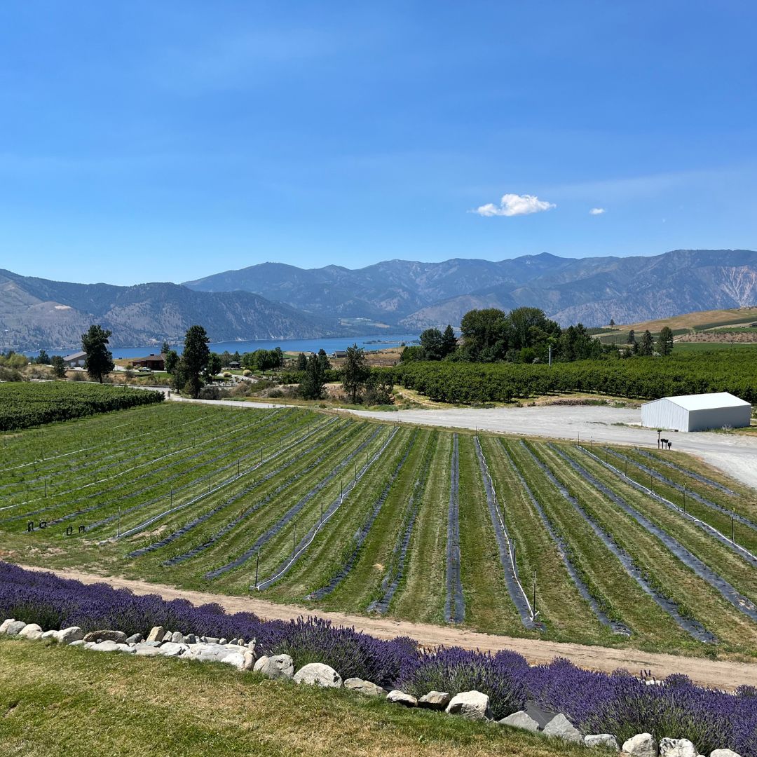 sustainable farming on our local organic farm