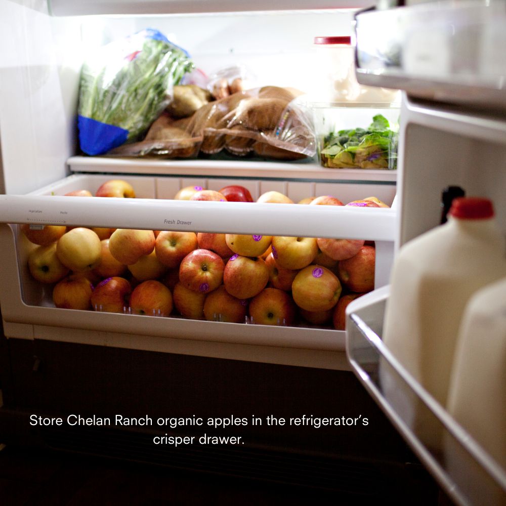 Apples in the crisper drawer of refrigerator