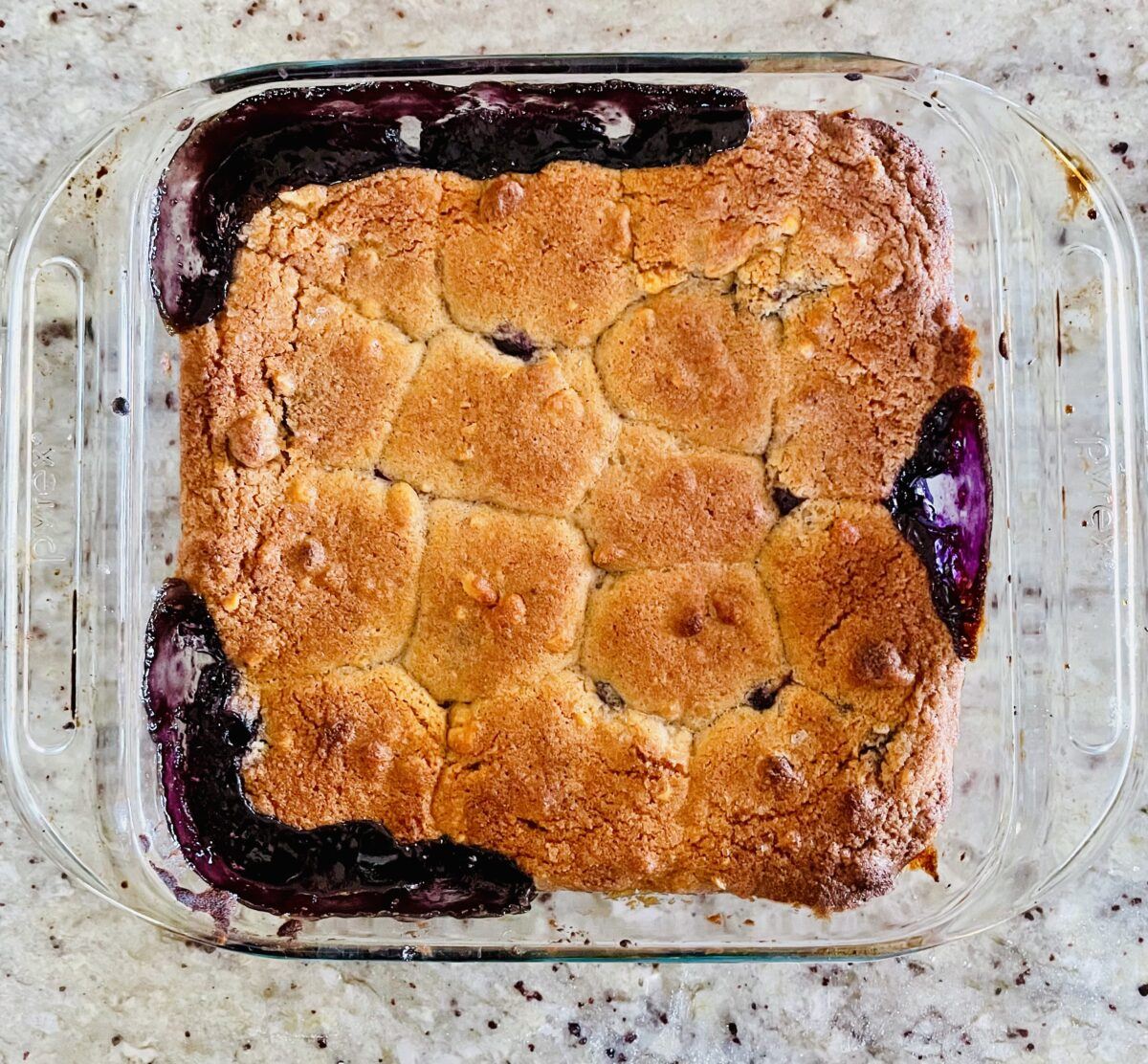 Blueberry Cobbler