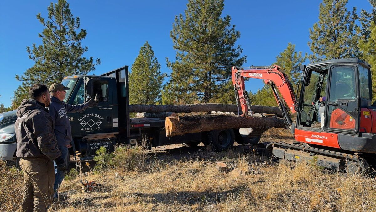 Diamondback Excavator Rodolfo